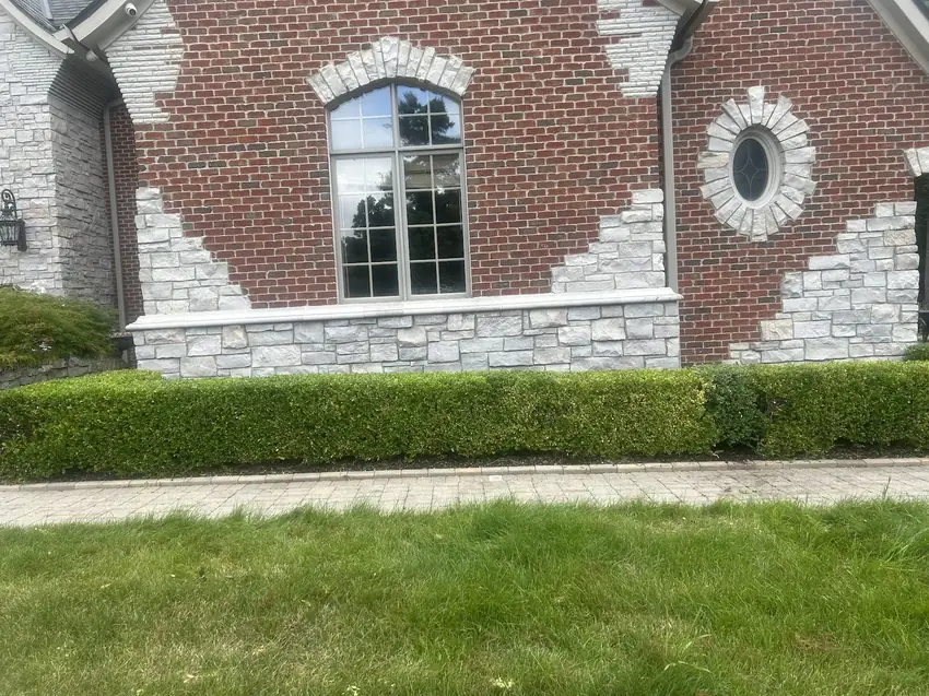 Crisp trimmed hedge row along a paver walkway at an Oakland County home