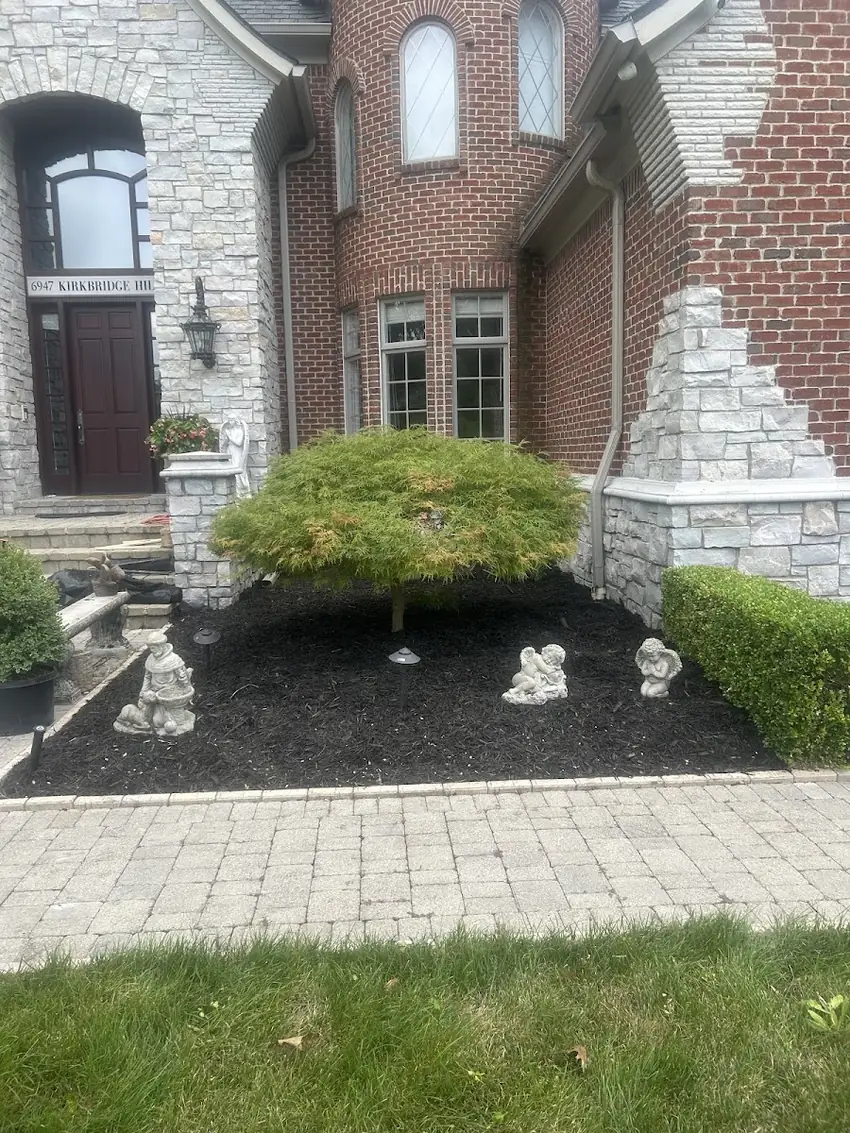 Fresh black mulch bed with a manicured shrub by a stone entryway and paver walkway in Oakland County